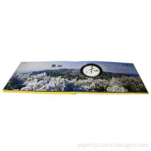 A3 Professional Wedding Photo Albums Printing , Photo Album